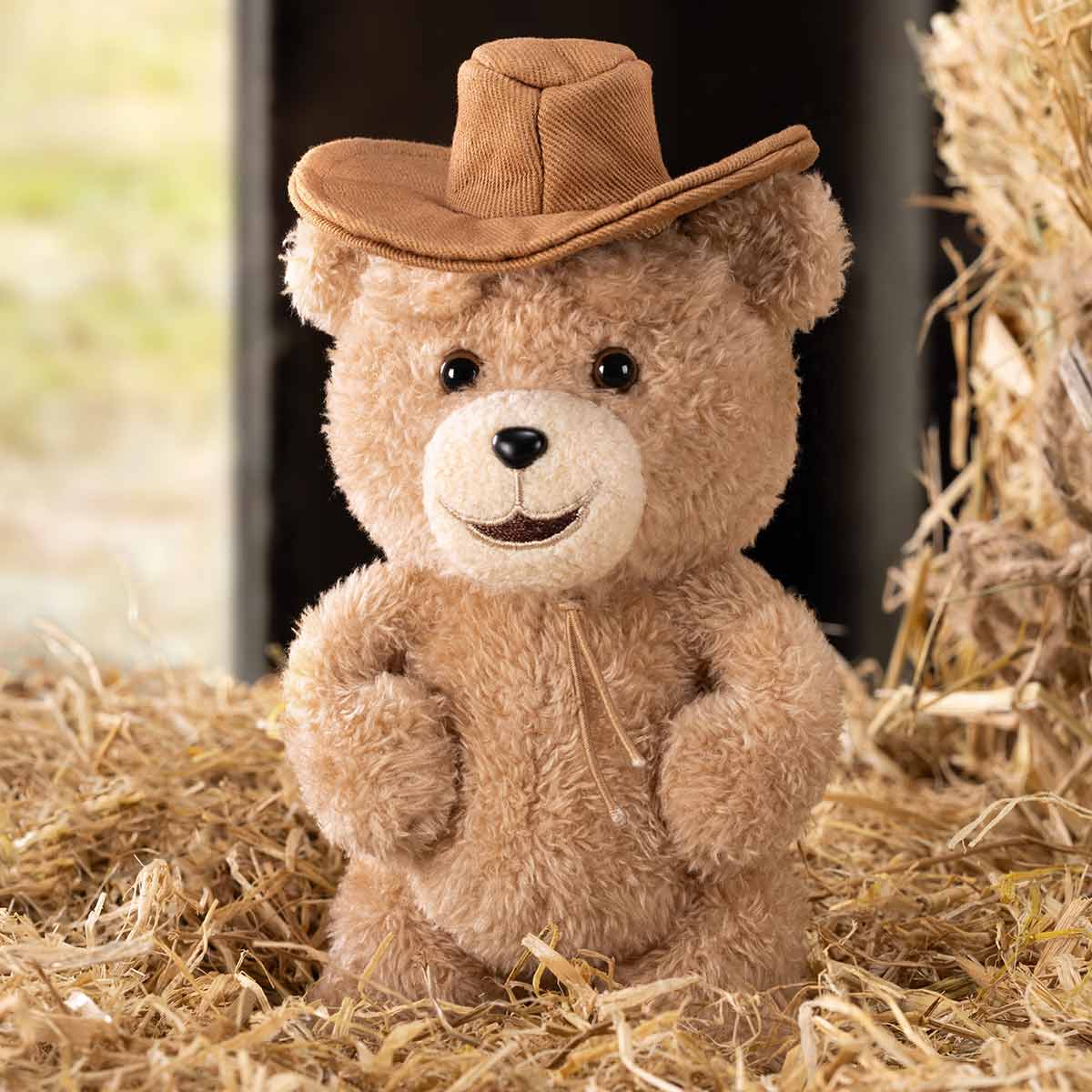 Ted2 Teddy Bear Action